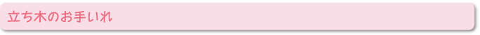 立ち木のお手いれ
